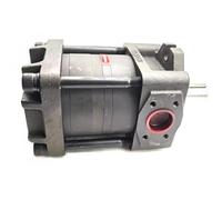 SFOCQVISH Pompe à Engrenages hydraulique NT Interne NT4-G63F Haute Pression for Machine de découpe et de Pliage NT4