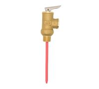 SFOIKVG Clapet Anti Retour Compresseur Soupape de sécurité surpression et température - Valve T/P 101/116/130/145 PSI 210F Disponible en Options 0,7/0,8/0,9/1 MPa pour Chauffe-Eau(DN20,1.0MPa)