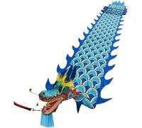 SFSLBFB Costume de Danse du Lion, Danse du Dragon Chinoise, Soie colorée, Accessoires de scène pour Le Nouvel an, Artisanat du Lion, Danses du Dragon (B, 10 m)
