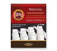 SG Education K8692004 Koh Lot de faux Extra Blanc Charbon de bois