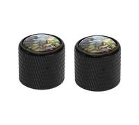 SG Store 2pcs Boutons de Dôme Supérieur en Ormeau de Taille Métrique en Métal Boutons de Guitare Bouton de Basse pour Guitare Électrique ou Basse Tele Telecaster 19.7x20x6mm Noir