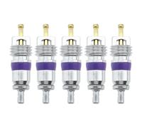 SG Store 5pcs Bobine de Climatiseur de Voiture R134A Système de Climatisation de Voiture Compatible avec BMW Compatible avec Mercedes M8 Outil de Noyau de Valve Climatiseur Automobile