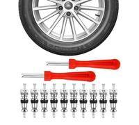 SGERUFZ Extracteur de valve, 10 pièces (y compris 2 extracteurs de noyau de valve), Extracteur de valve, Outil de valve de pneu automobile, Tournevis de réparation pour voitures, motos et camions