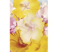 SGFGAD FHYWQ Affiche de Georgia O’Keeffe Image murale moderne 《Hibiscus》 par Georgia O’Keeffe Imprimés Fleurs jaunes Peinture sur toile pour la décoration intérieure 40x55cm Non encadrée