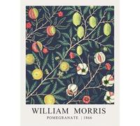 SGFGAD FHYWQ Affiche William Morris Peinture moderne sur toile de fruits《 Pomegranate》De William Morris Wall Art Collection Estampes pour la décoration intérieure 40x50cm non encadrée
