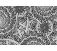 SGFGAD FHYWQ Célèbre M.C Escher Vision Affiche Penser Impressions Abstrait Art Mural Image《Lignes Circulaires》M.C Escher Peinture Sur Toile Pour Décoration Intérieure 90x60cm Non Cadre