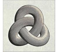 SGFGAD FHYWQ Célèbre M.C Escher Vision Affiche Penser Impressions Abstrait Art Mural Image《Surround》M.C Escher Peinture Sur Toile Pour Décoration Intérieure 50x50cm Non encadré