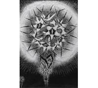 SGFGAD FHYWQ célèbre M.C Escher Vision Affiche Penser Impressions Abstrait Photo D’art Mural《Pissenlit》M.C Escher Peinture Sur Toile Pour Décoration Intérieure 60x90cm Non Cadre