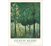 SGFGAD FHYWQ Gustav Klimt Affiche Paysages Impressions Abstrait Art Mural Image Couleur《Bois Et Jardin》Gustav Klimt Peinture Sur Toile Pour Décoration Intérieure 50x60cm Non encadré