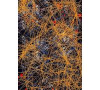 SGFGAD FHYWQ Jackson Pollock Affiche Impressions en couleur Abstrait Art mural Photo Ligne d’or Composition Jackson Pollock Peinture sur toile pour la décoration intérieure 50x80cm Non encadré