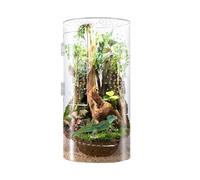 Sghtil Araignée de renaître, araignée terrarium | Acrylique prière mantide terrarium,Tank de reptiles d'arborescence imperméable avec porte d'ouverture avant pour tarantula araignée plante mantide