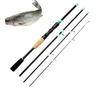 Sghtil Canne à pêche portable en fibre de verre 4 sections pour pêche à la mouche, rivière, mer flottante, pêche, plage, ruisseau, randonnée