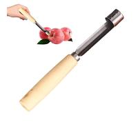 Sghtil Noyau de poires - Ustensile en acier inoxydable | Courir de fruits manuel multifonctionnel avec manche en bois antidérapant pour cuisine rapide salades faire des jus en conserve