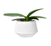Sghtil Pots pour orchidées avec drainage, pots d'orchidées avec trous | Double couche africaine Violet Pots,Contrôle de l'humidité jardinière respirante pour le noyau hydroponique de sphagnum mousse