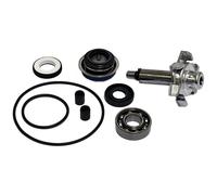 SGR Kit de révision de pompe à eau Honda SH 125 Argenté 1 pièce