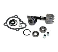 Sgr Kit De Reconstruction De Pompe à Eau Kymco B&w 250