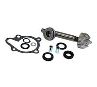 Sgr Kit De Reconstruction De Pompe à Eau Kymco Dink 125/200