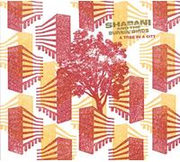 Shabani and the Burnin Birds - A Tree in a City [Import]