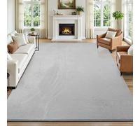 SHACOS Tapis Gris Clair Salon 200 x 300 cm Tapis Lavable Moelleux Antidérapant Grand Moquette Chambre à Coucher Doux pour Chambre d'enfant