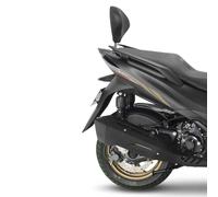 Shad Fixation de dossier Zontes E 350 Noir