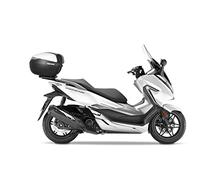 Shad Fixation Arrière Top Master Honda Forza 125/300 One Size Black