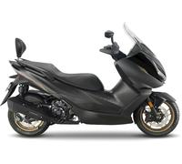 Shad RV Backrest, kit de montage