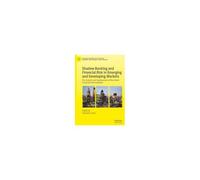 Shadow Banking And Financial Risk In Emerging And Developing Markets