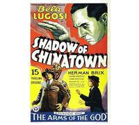 Shadow of Chinatown