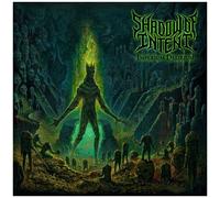 Shadow Of Intent - Imperium Delirium (Audio Cd)