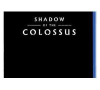 SHADOW OF THE COLOSSUS FR/NL PS4 G