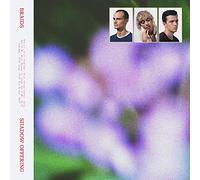 Shadow Offering - Vinyle Rouge