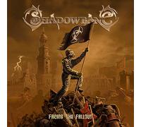 Shadowbane - Facing the Fallout