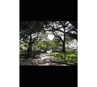 Shadows in the Fog: A Willow Creek Mystery