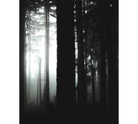 Shadows in the Mist Dark Aesthetic Notebook: A Journal for Dark Reflections