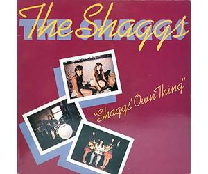 Shaggs Own Thing