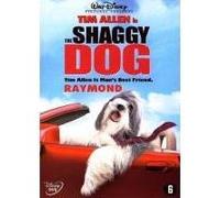 SHAGGY DOG-RAYMOND-BILINGUE G