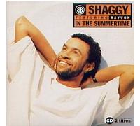 Shaggy - in The Summertime