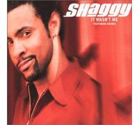 Shaggy - It Wasn't Me