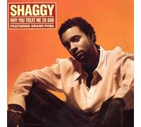 Shaggy - Why You Treat Me So Bad/Demand The Ride