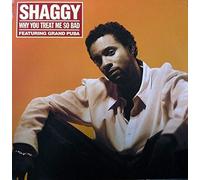 Shaggy - Why You Treat Me So Bad/the Train Is Comin