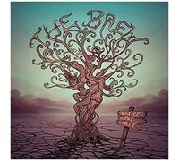Shake The Tree