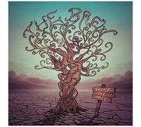 Shake The Tree