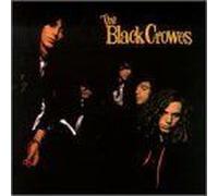 Shake Your Money Maker