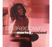 Shakedown : Bob Marley Remix