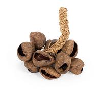 Shaker à graines avec cordes