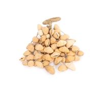Shaker à graines naturelles Honestly Made