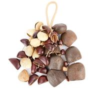 Shaker africain naturel Cacho Hochet Salin Noix de guérison sonore Percussion à la main Cadeaux