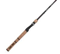 Shakespeare Ugly Stik Elite Canne à pêche