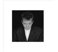 Shaking the Tree: Sixteen Golden Greats [2002 Remaster] by Peter Gabriel [CD]