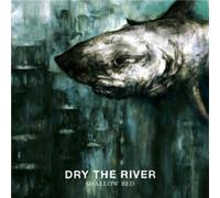 Shallow Bed by Dry the River [CD] NEUF